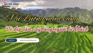 Pù Luông mùa vàng: Khi núi rừng khoác áo lúa chín, vẻ đẹp làm say lòng người lữ khách