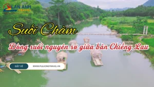 Suối Chàm – Dòng suối nguyên sơ giữa bản Chiềng Lau, nơi thiên nhiên níu chân người lữ khách