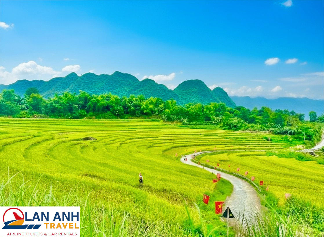 Thiết Kế Chưa Có Tên (1)
