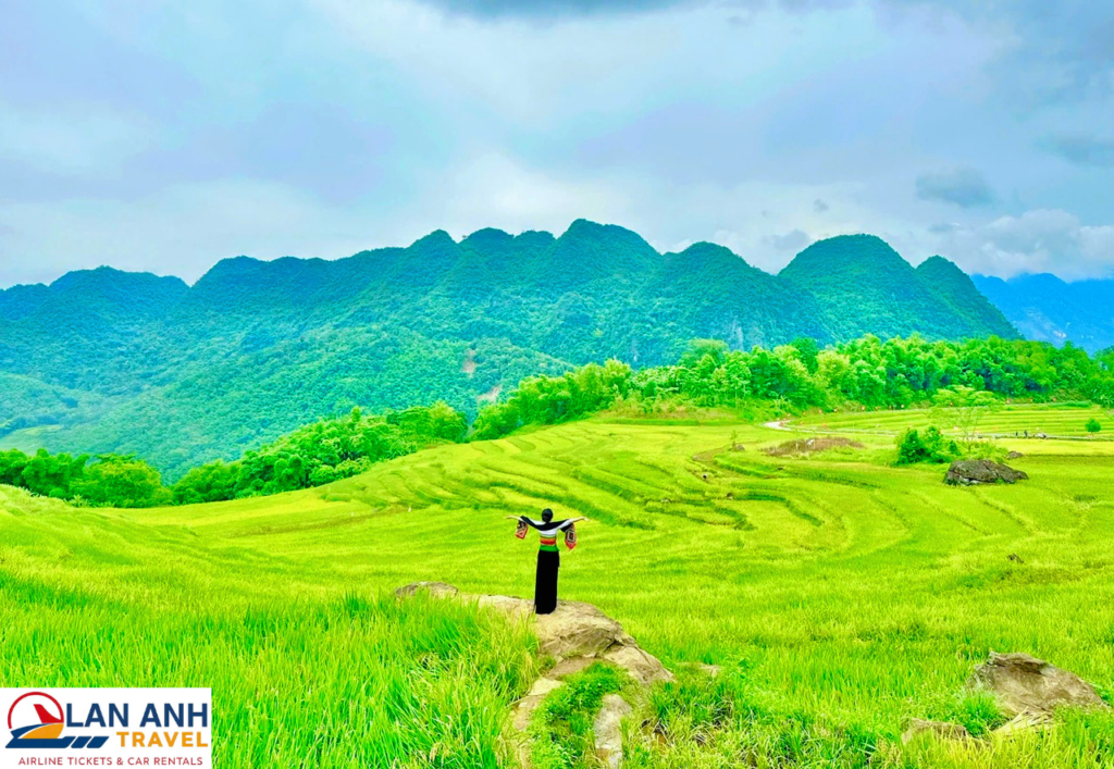 Thiết Kế Chưa Có Tên (2)